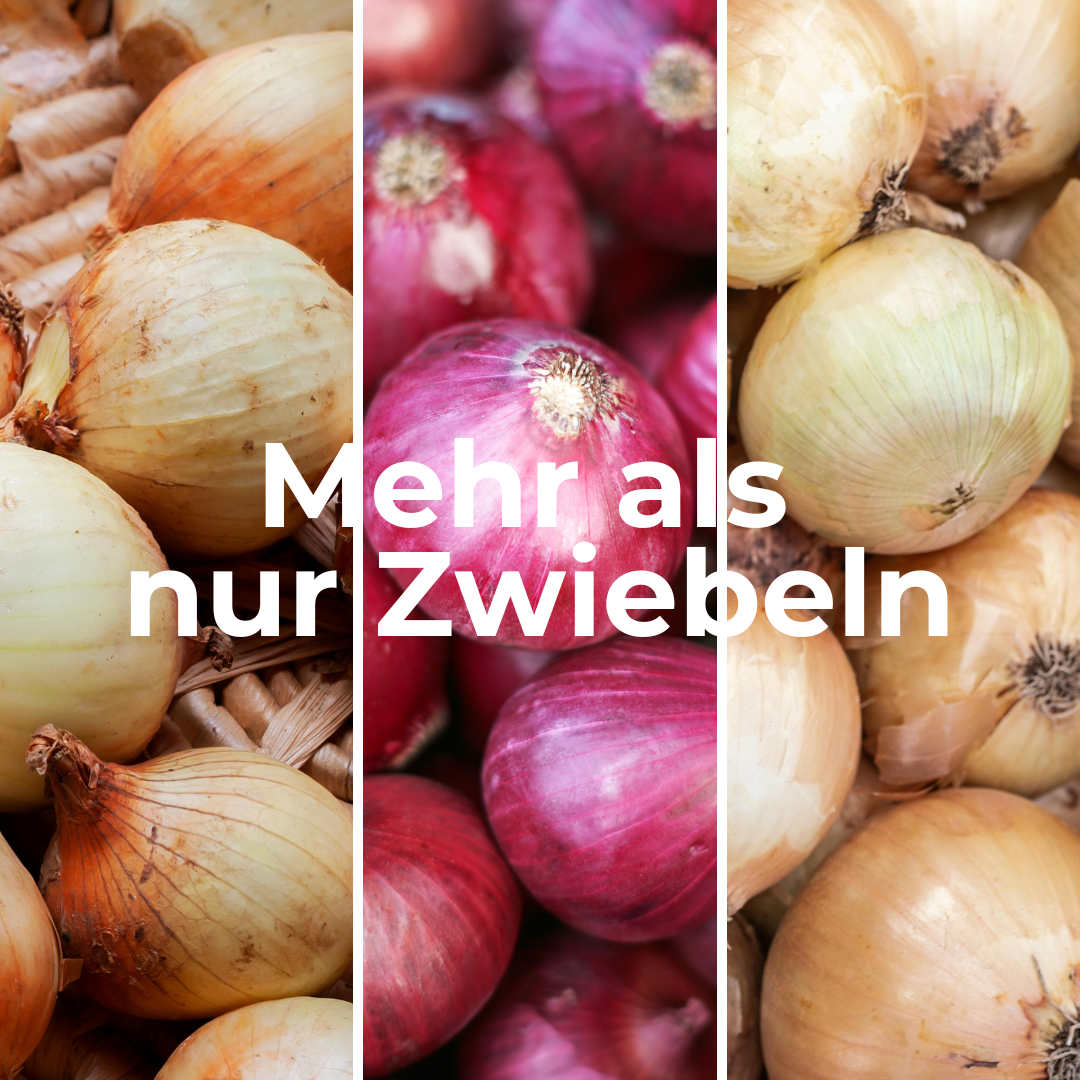 Zwiebel Woche