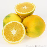 Navelorangen im November