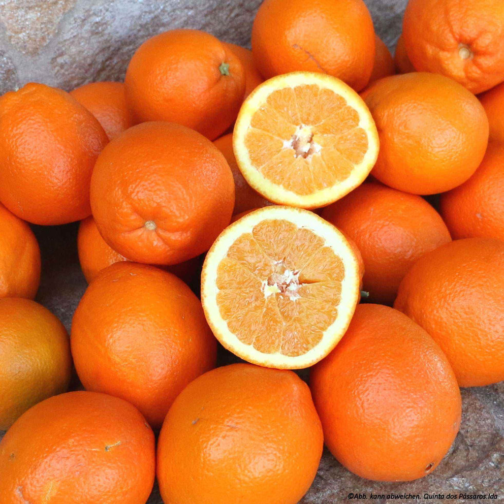 Orangenfarm Portugal - Ihr Orangen Shop seit 1993