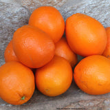 Navel Orangen sonnengereift naturbelassen