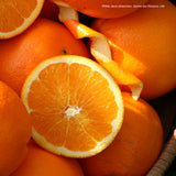 Navel Orangen / Laranja, Kg