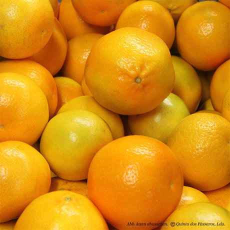 Mandarinen Monreales