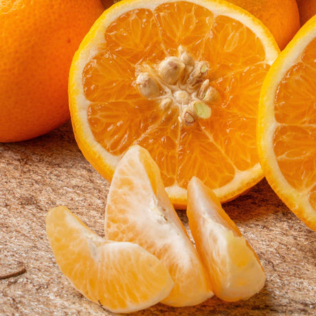 Mandarinen Monreales im November 2