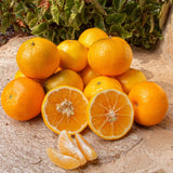 Mandarinen Monreales im November 3