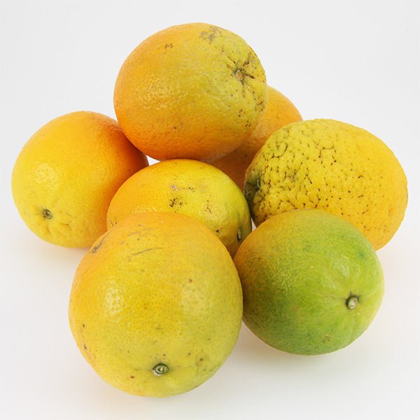 Sommer-Orangen Valentia-Late / Laranjas valencia, Kg