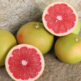 Grapefruit rose-rot noch grün im Oktober