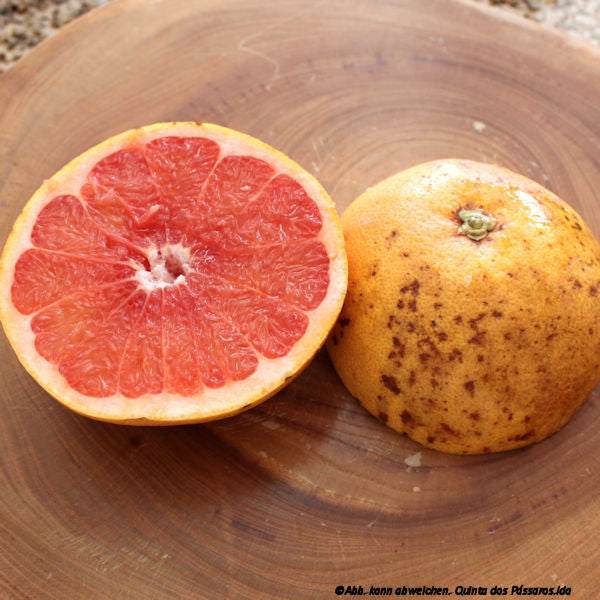 Grapefruit rot aufgeschnitten