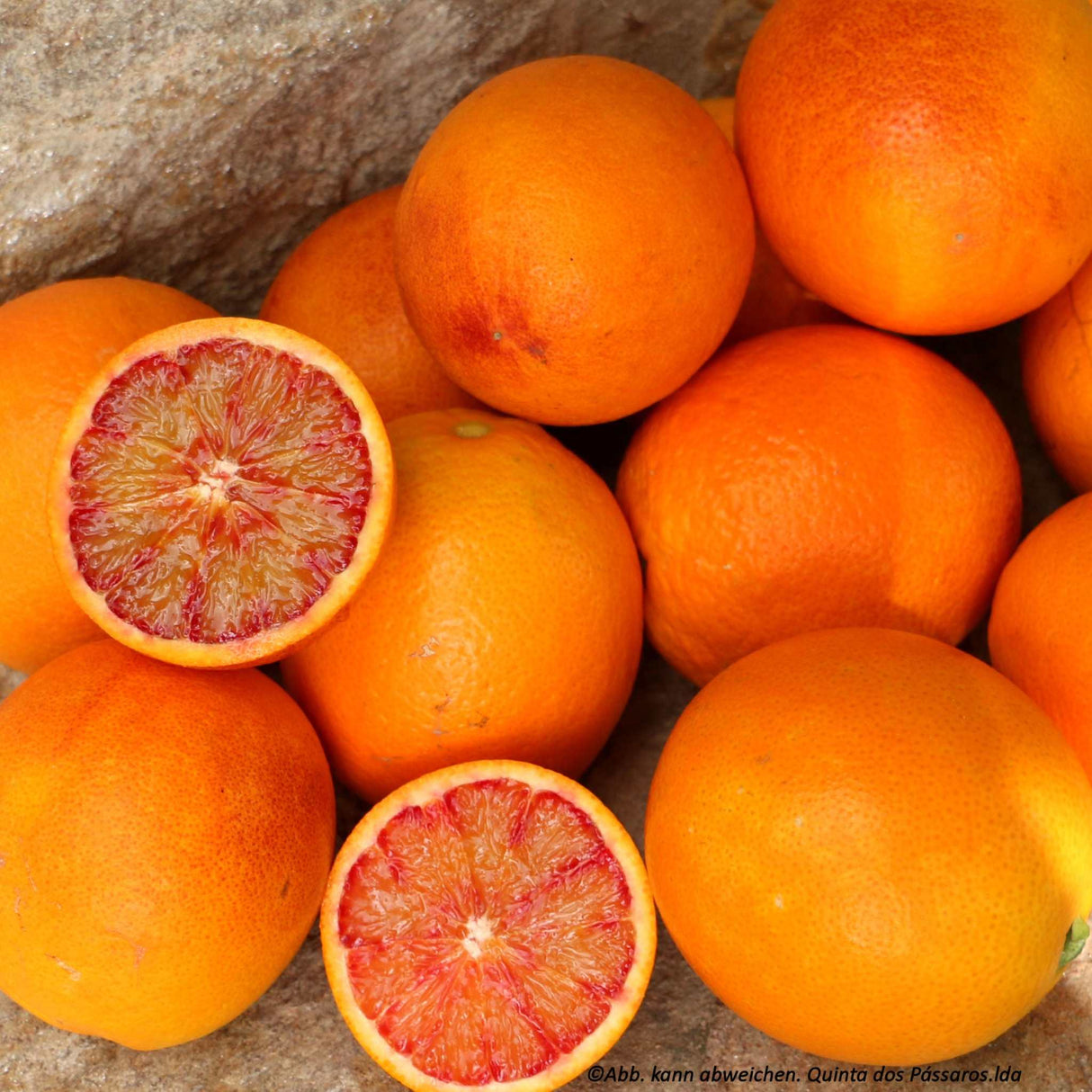 Blood oranges, Sanguinelli / Laranja sanguínea, Kg