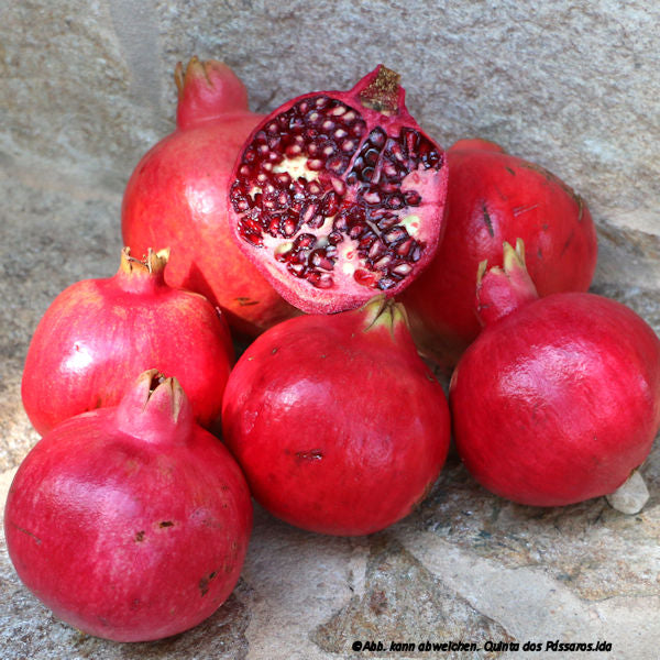 Pomegranates / Romã, Kg