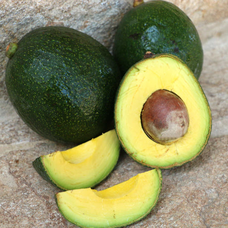 Avocados Reed Stücke