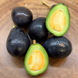 Avocado Wildwuchs mini
