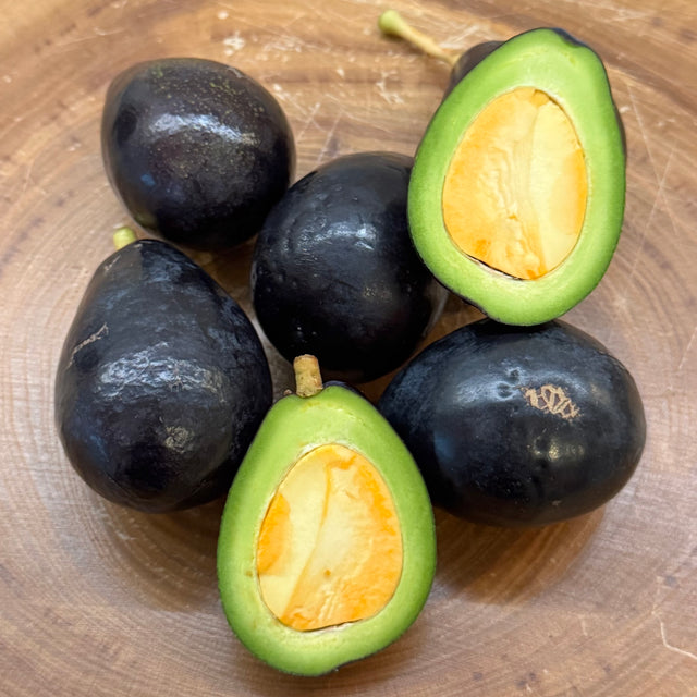 Avocado Wildwuchs mini