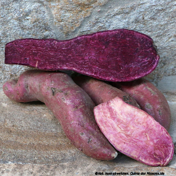 Sweet potatoes purple / Batata doce roxa, Kg