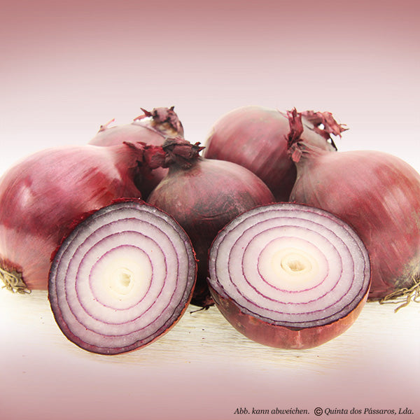 Red onions / Cebola vermelha, 1 kg