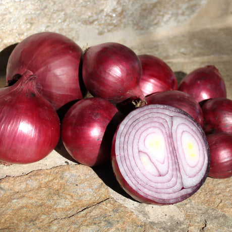 Zwiebeln rot