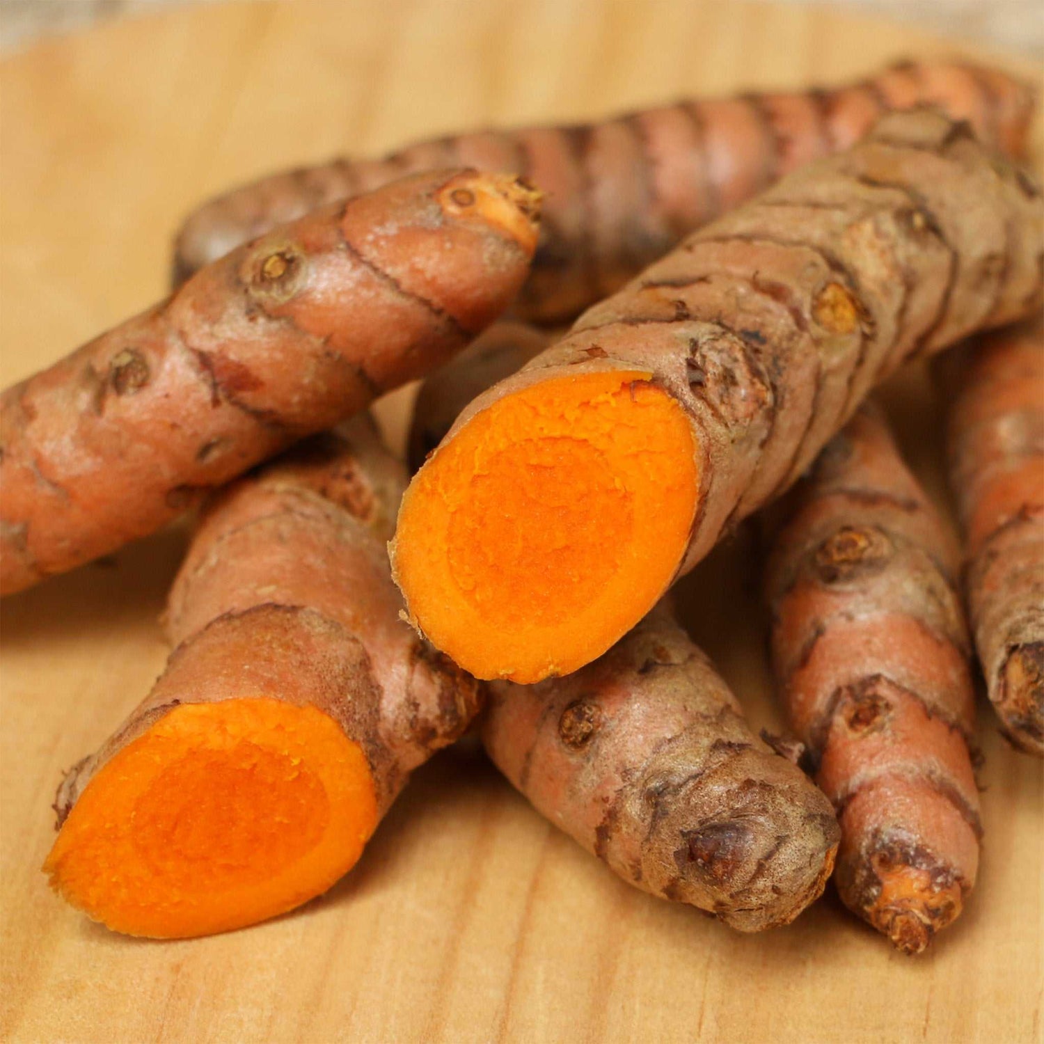 kurkuma aufbewahren Kurkuma frisch – Aromatische Wurzel für Küche & Gesundheit – Orangenfarm Portugal