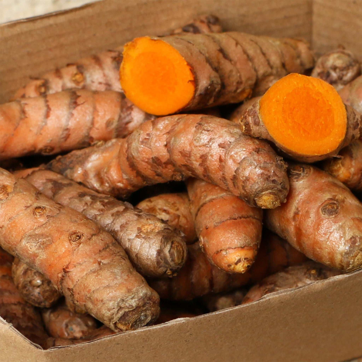 Kurkuma frisch box