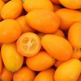 Kumquat