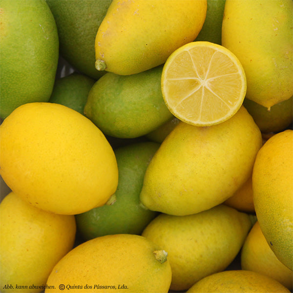 Limequat, citrons nains / Limequat, unidade