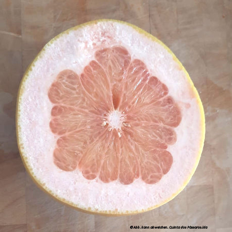 Pomelo / Pomelo, unidade