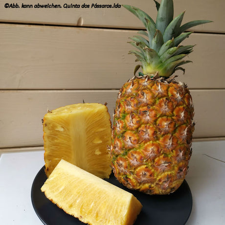 Ananas