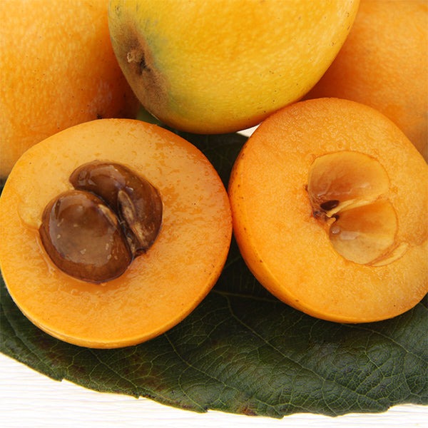 Japanese loquat / Nêspera, unidade
