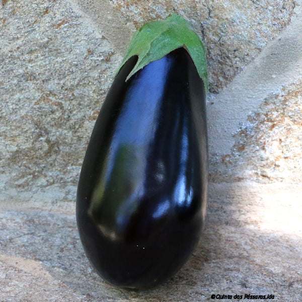 Aubergine / Beringelas, unidade