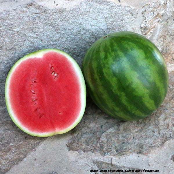 Wassermelone gestreift