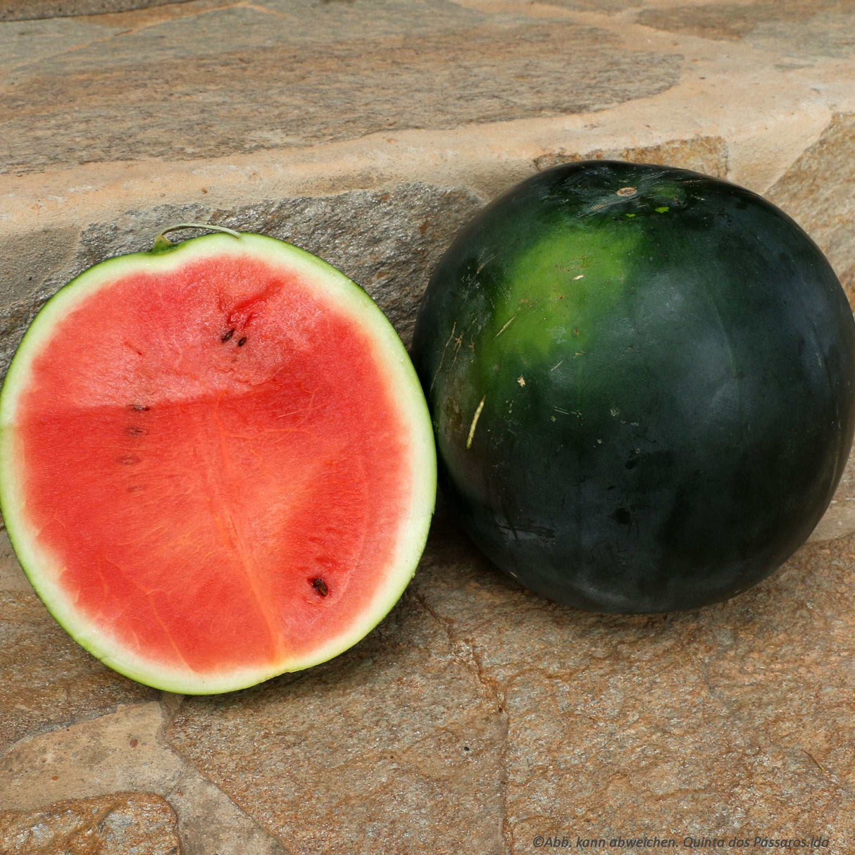 Wassermelone