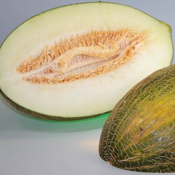 Melone / Melão pele de sapo