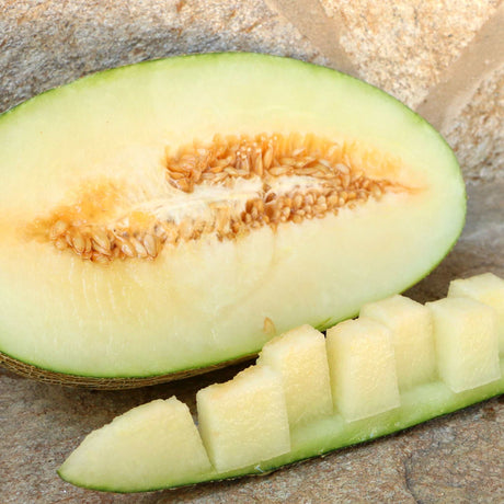 Melone Pele de Sapo