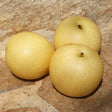 Nashi-Birnen