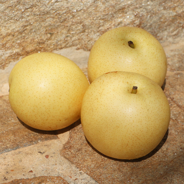 Nashi-Birnen