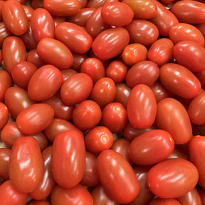 Tomaten Cherry Azura