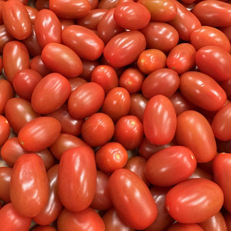 Cherry Tomaten Azura