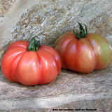 Fleischtomaten grün-rot / Tomate monte rosa, unidade