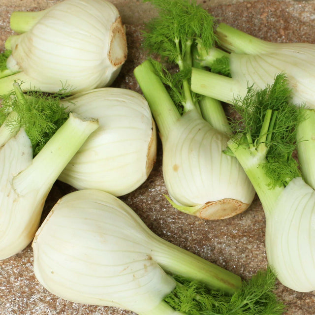 Fenchel viele
