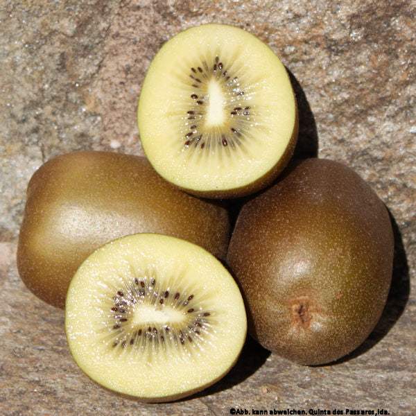 Kiwi Or / Kiwi or, kg