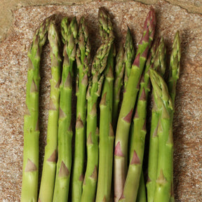 Spargel grün