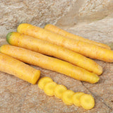 Karotten gelb aufgeschnitten