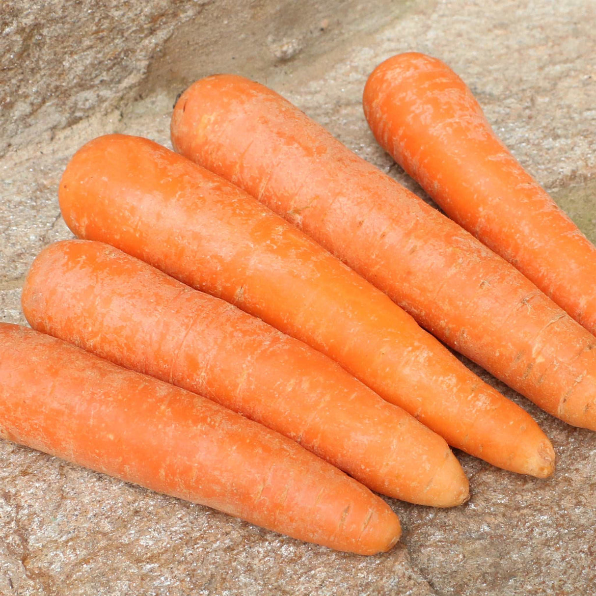 Carrots / Cenouras