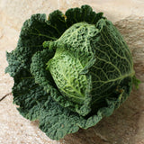 Kohl Lombarda, Wirsing seite