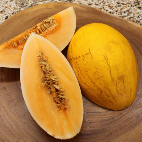 Honigmelone klein