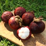 Mangostan offen