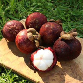 Mangostan offen