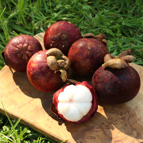 Mangostan offen