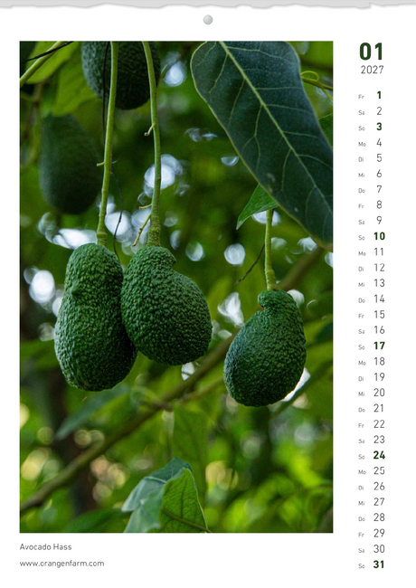 Monatskalender 2027 Januar