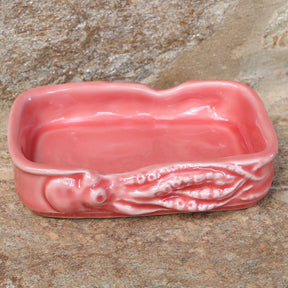 Keramikschale für Fischdosen lachs