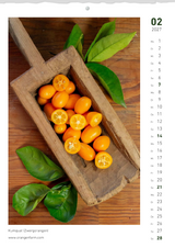 Monatskalender 2027 Februar