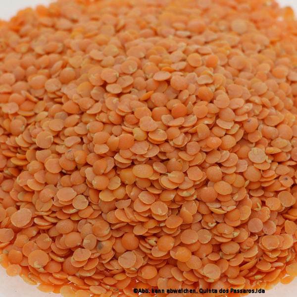 Lentils red / Lentilhas vermelhas, 500g – Orangenfarm Portugal